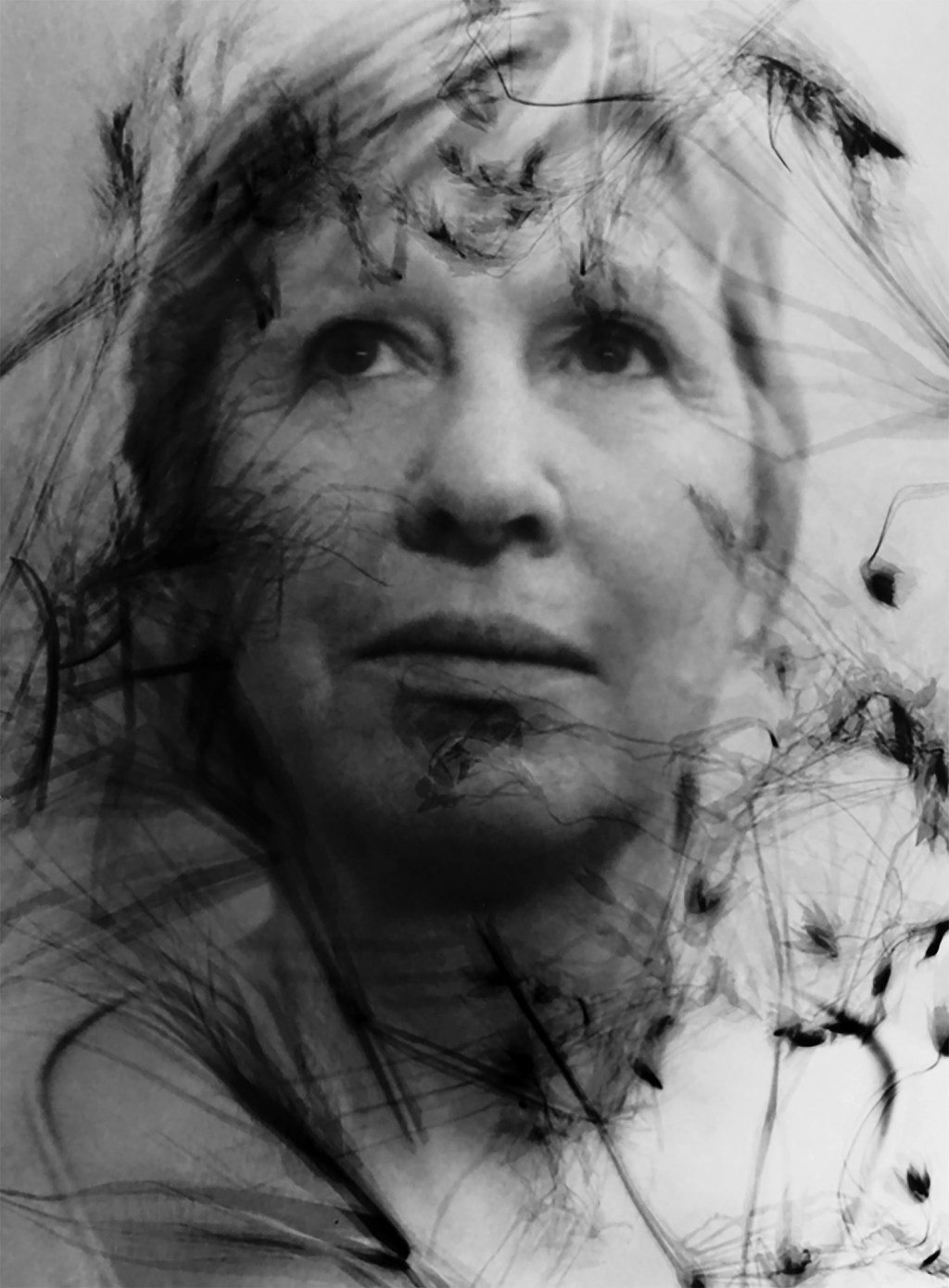 Quand le tirage se mèle de photogramme