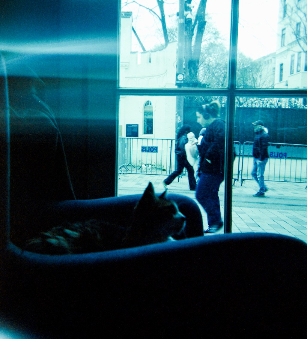 A la découverte d’Istanbul avec un Kodak Duaflex II acheté à New York !